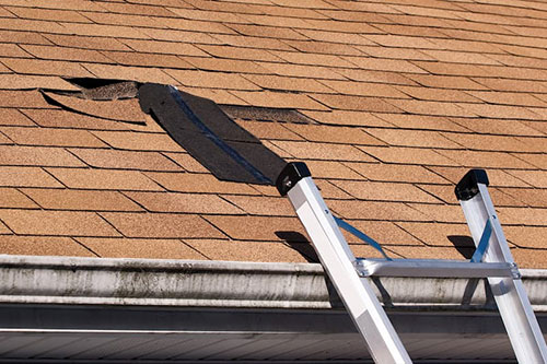 Plainfield Roof Inspections: What Really Happens During a Visit
